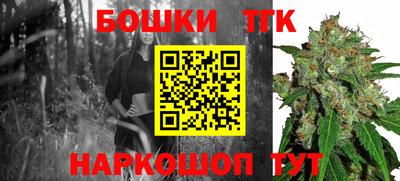 тгк Можайск