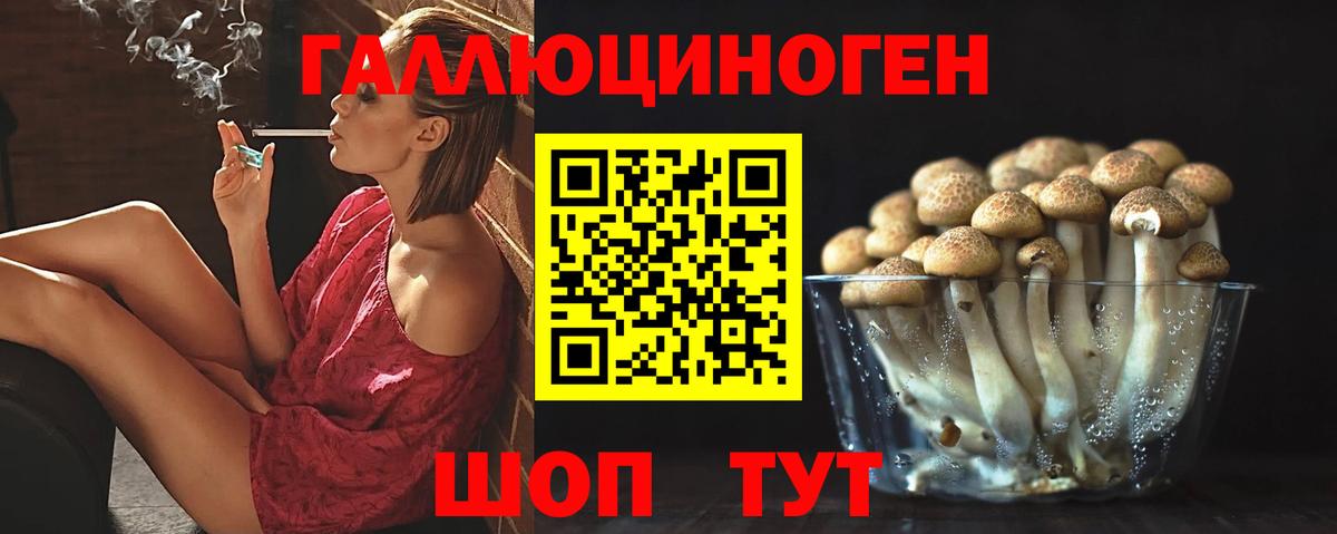 Галлюциногенные грибы Psilocybine cubensis Бузулук